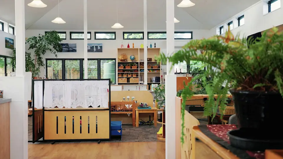 A fern in the foreground, with a room of wooden shelves under high windows behind.