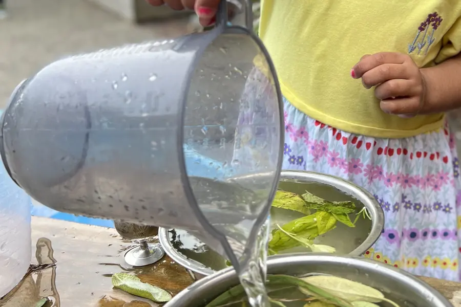 A young child in a yellow t-shirt pours water from a plastic jug into a metal bowl of leaves.